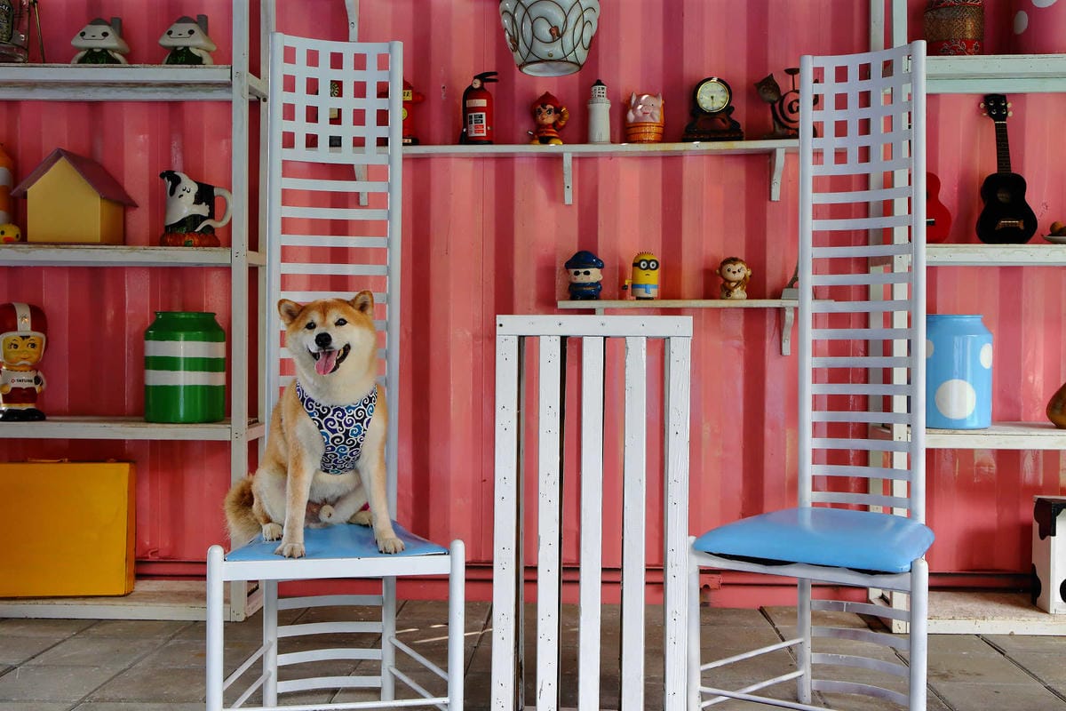 【遊。新竹】內灣愛情故事館 -景觀餐廳  DH婚紗拍攝基地〜就是要在婚紗基地拍出可愛風格！(已歇業)