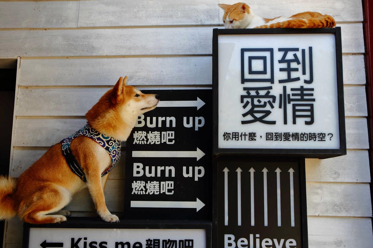 【遊。新竹】內灣愛情故事館 -景觀餐廳  DH婚紗拍攝基地〜就是要在婚紗基地拍出可愛風格！(已歇業)