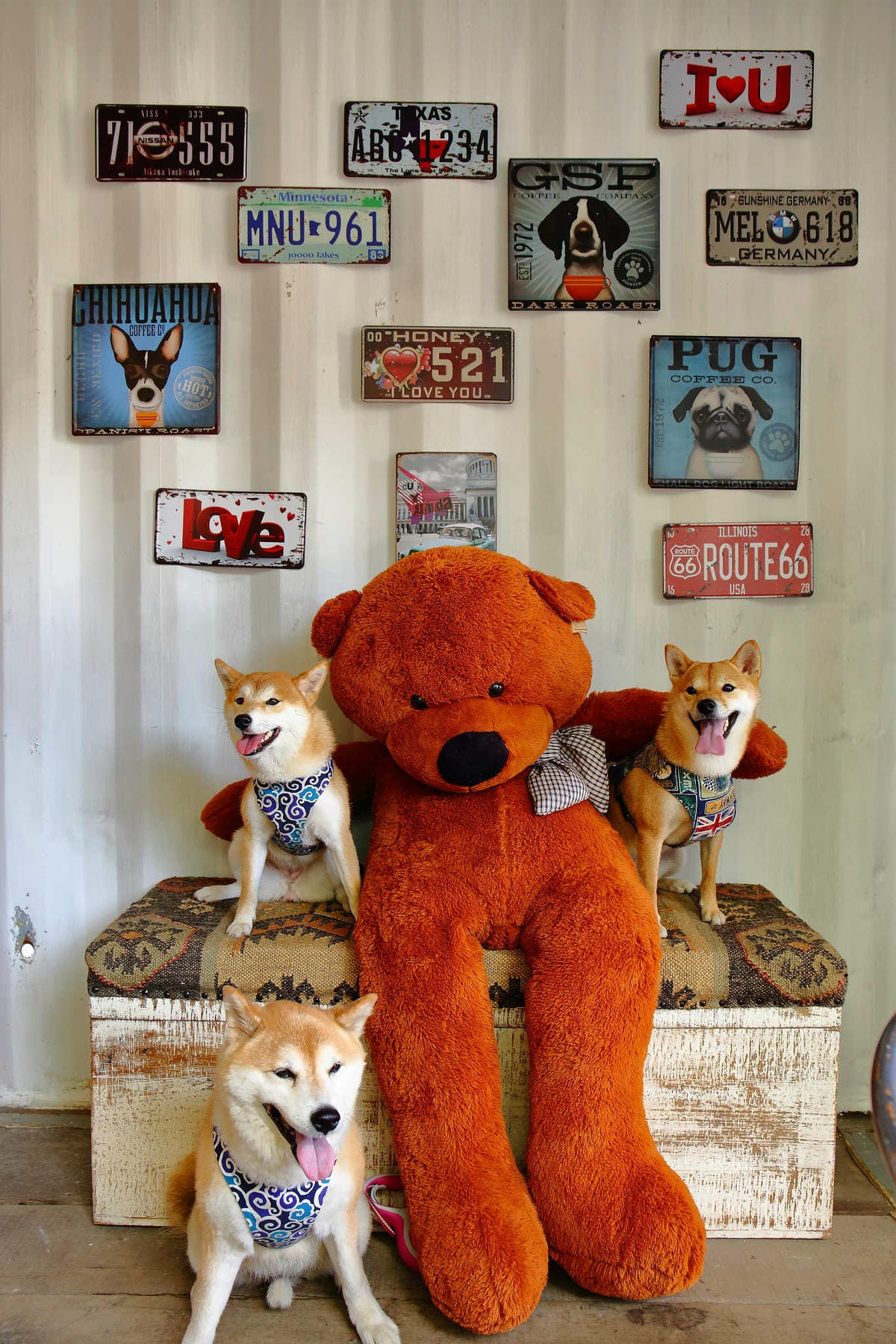 【遊。新竹】內灣愛情故事館 -景觀餐廳  DH婚紗拍攝基地〜就是要在婚紗基地拍出可愛風格！(已歇業)