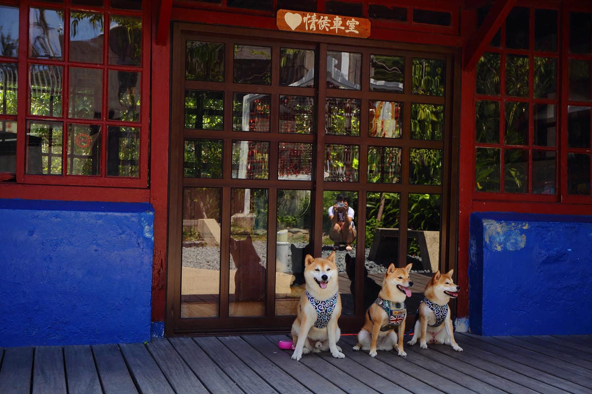 【遊。新竹】內灣愛情故事館 -景觀餐廳  DH婚紗拍攝基地〜就是要在婚紗基地拍出可愛風格！(已歇業)