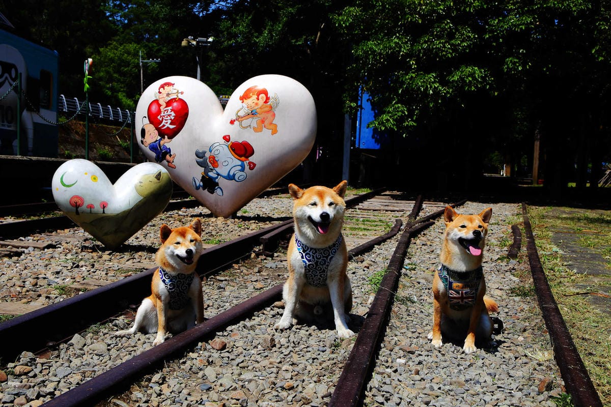 【遊。新竹】內灣愛情故事館 -景觀餐廳  DH婚紗拍攝基地〜就是要在婚紗基地拍出可愛風格！(已歇業)