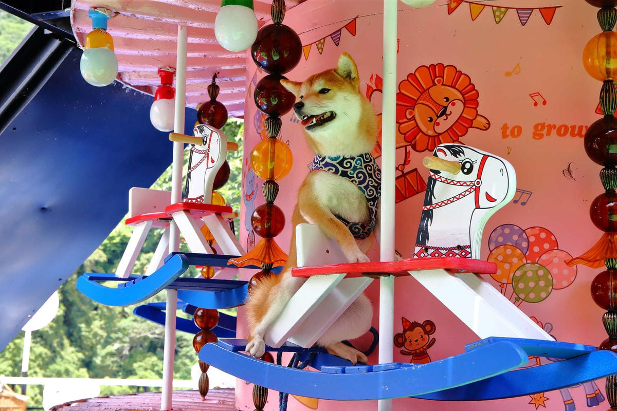 【遊。新竹】內灣愛情故事館 -景觀餐廳  DH婚紗拍攝基地〜就是要在婚紗基地拍出可愛風格！(已歇業)