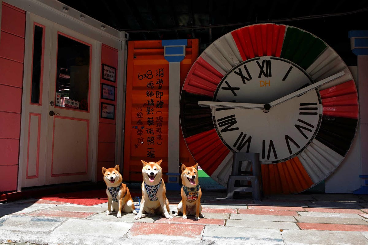 【遊。新竹】內灣愛情故事館 -景觀餐廳  DH婚紗拍攝基地〜就是要在婚紗基地拍出可愛風格！(已歇業)