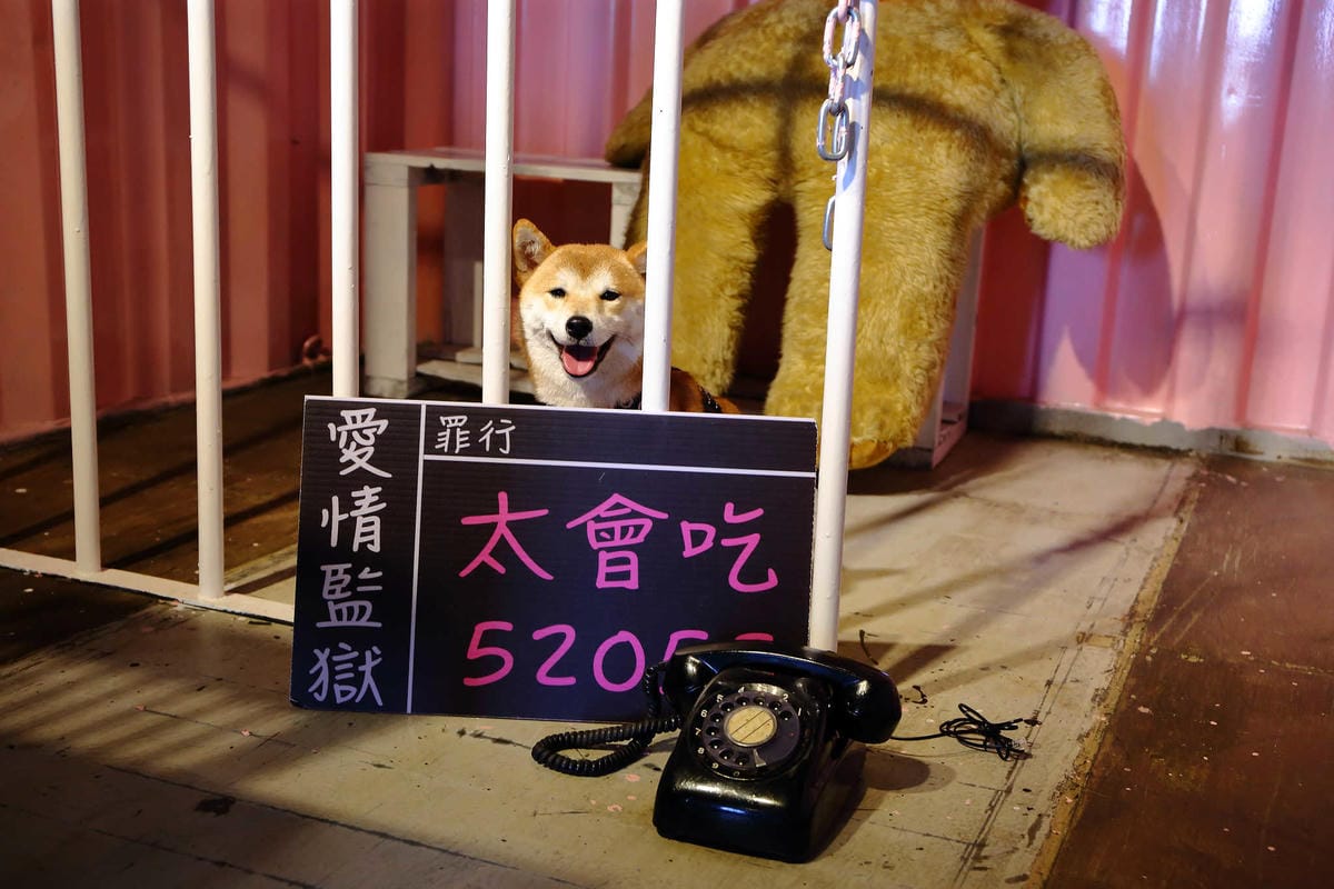 【遊。新竹】內灣愛情故事館 -景觀餐廳  DH婚紗拍攝基地〜就是要在婚紗基地拍出可愛風格！(已歇業)