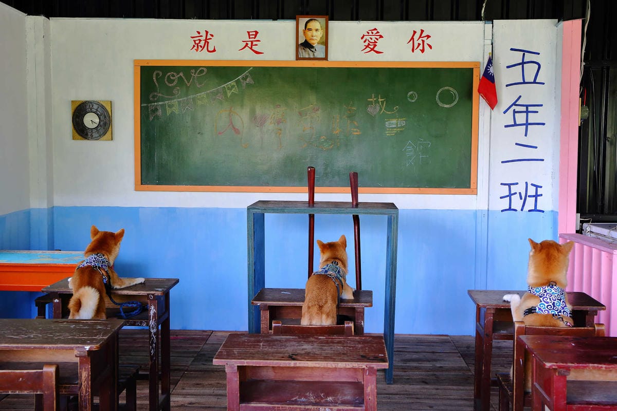 【遊。新竹】內灣愛情故事館 -景觀餐廳  DH婚紗拍攝基地〜就是要在婚紗基地拍出可愛風格！(已歇業)