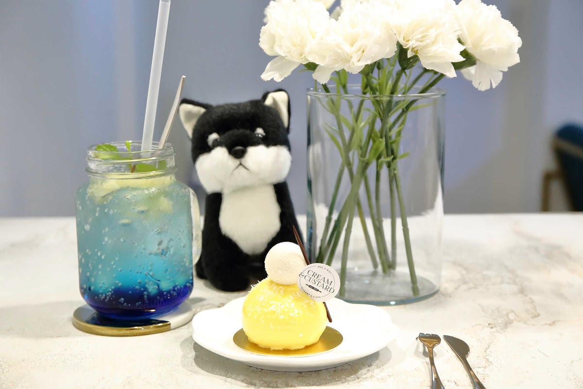 【食。台北】Ludique Crème調皮奶油〜「網美系」夢幻甜點店。超好拍的盪鞦韆跟乾燥花牆，可愛店狗陪妳下午茶