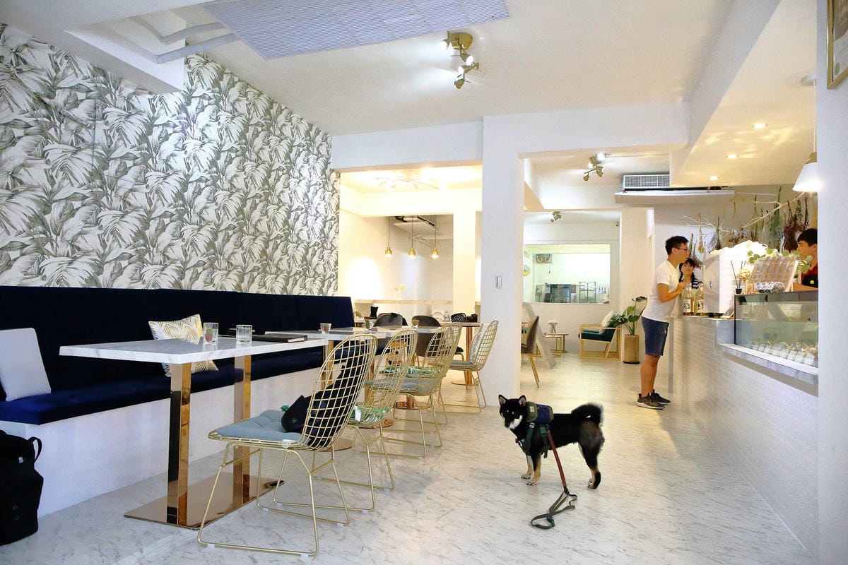 【食。台北】Ludique Crème調皮奶油〜「網美系」夢幻甜點店。超好拍的盪鞦韆跟乾燥花牆，可愛店狗陪妳下午茶