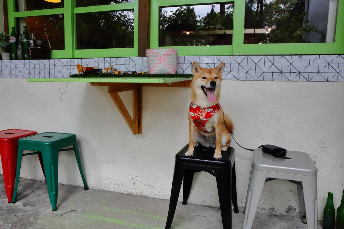 【食。大溪】丑咖啡 BU-SU café〜就愛老宅！文青必去！大溪老宅改造咖啡館，不只好吃還好拍！