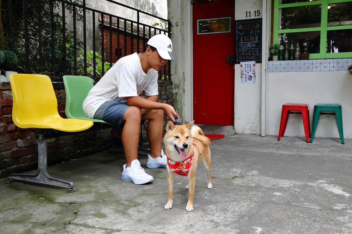 【食。大溪】丑咖啡 BU-SU café〜就愛老宅！文青必去！大溪老宅改造咖啡館，不只好吃還好拍！