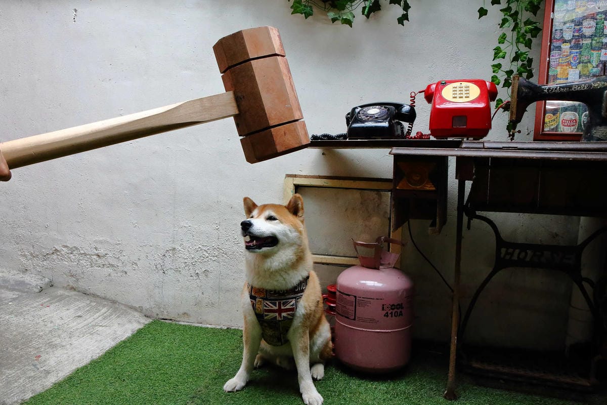 【食。大溪】丑咖啡 BU-SU café〜就愛老宅！文青必去！大溪老宅改造咖啡館，不只好吃還好拍！