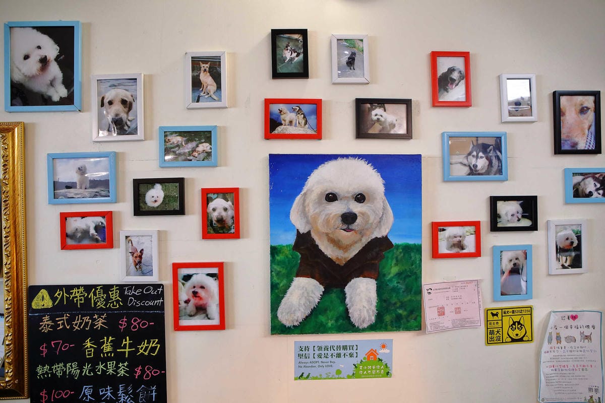 【食。大溪】丑咖啡 BU-SU café〜就愛老宅！文青必去！大溪老宅改造咖啡館，不只好吃還好拍！