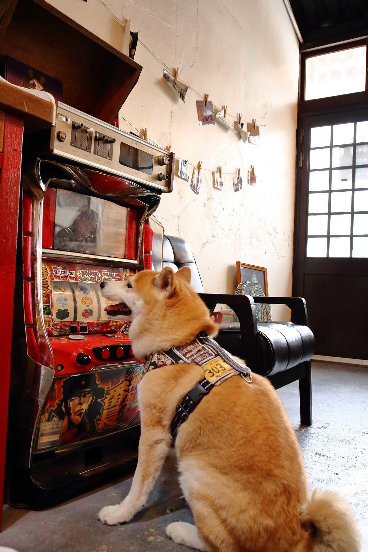 【食。大溪】丑咖啡 BU-SU café〜就愛老宅！文青必去！大溪老宅改造咖啡館，不只好吃還好拍！