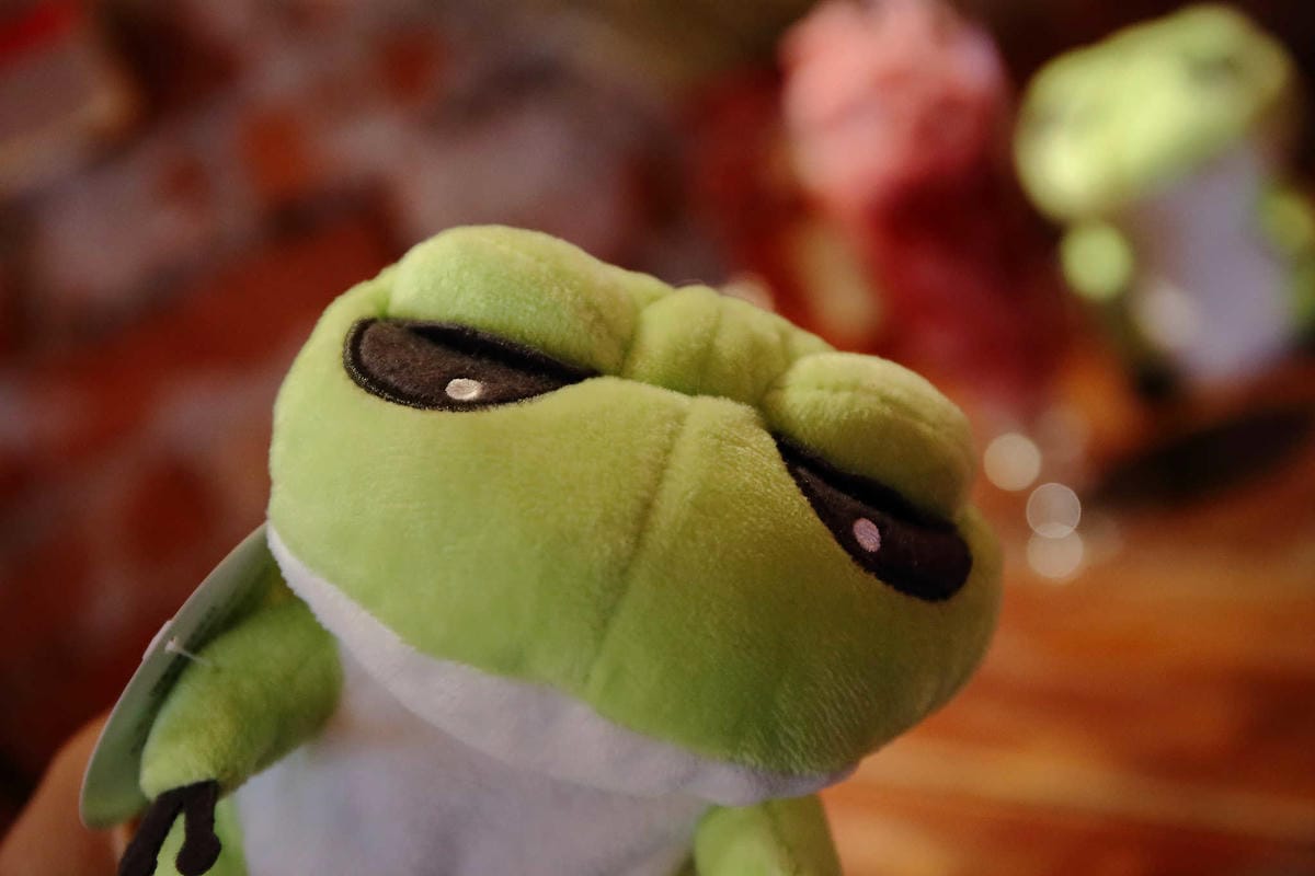 【食。宜蘭】心花開粗茶淡飯小賣所〜新開幕/新亮點IG打卡浪漫花牆與百年古厝！溫馨小店享受美味佳餚與人情味(已歇業)