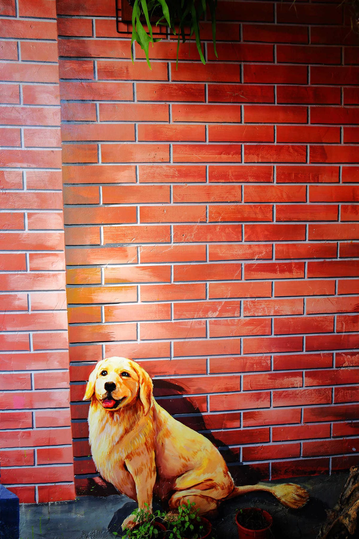 【遊。彰化】忠權彩繪社區〜毛小孩專屬！全台第一個狗狗主題3D立體彩繪村，超萌又好拍