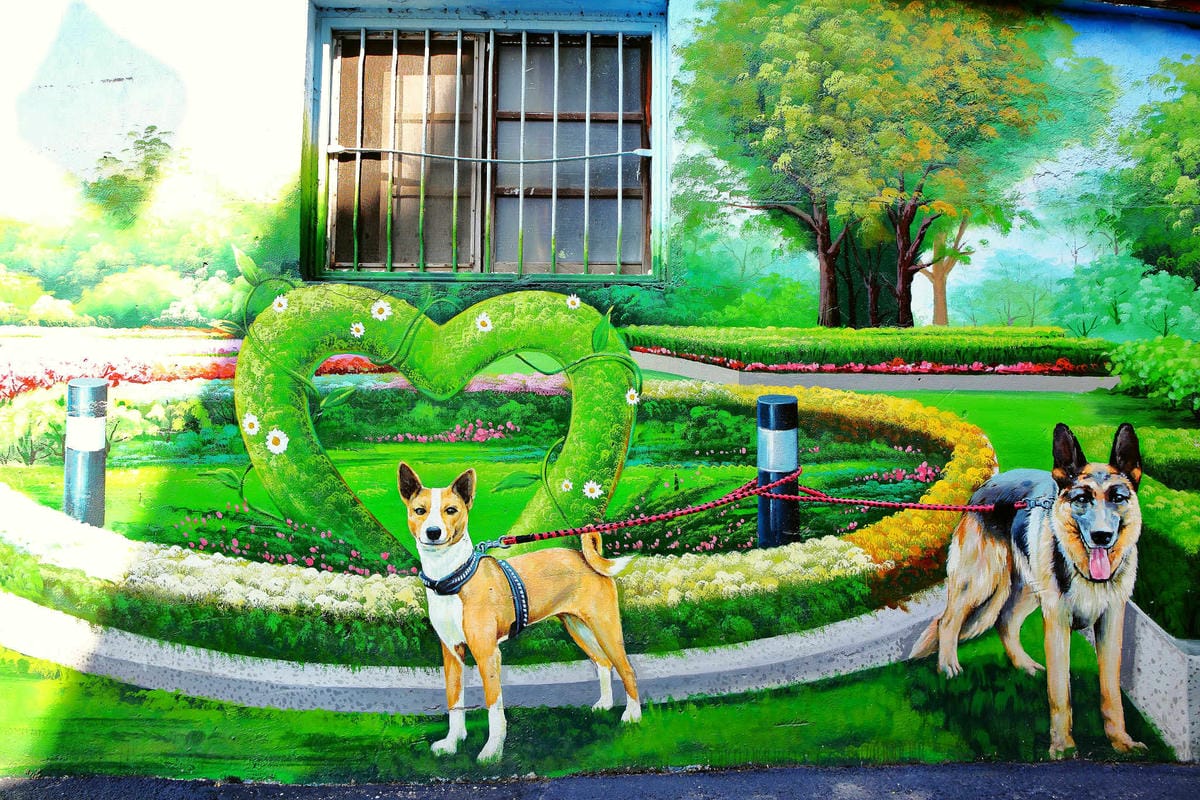【遊。彰化】忠權彩繪社區〜毛小孩專屬！全台第一個狗狗主題3D立體彩繪村，超萌又好拍