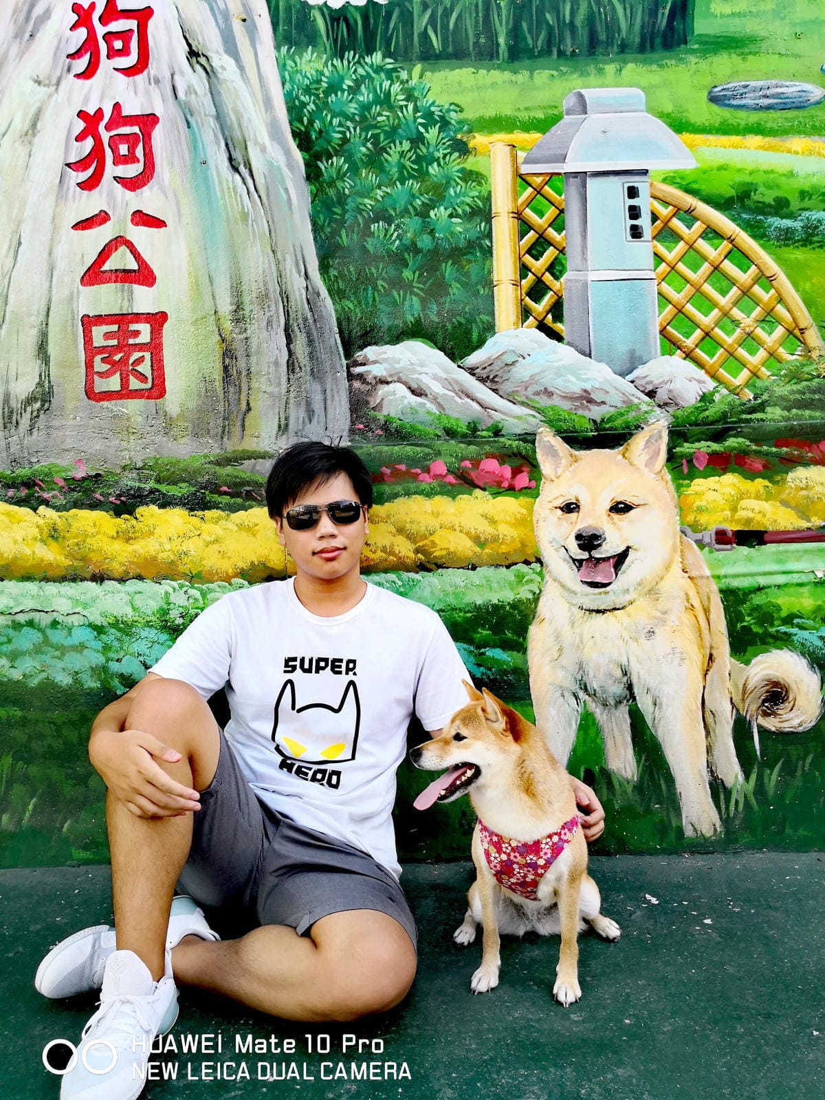 【遊。彰化】忠權彩繪社區〜毛小孩專屬！全台第一個狗狗主題3D立體彩繪村，超萌又好拍