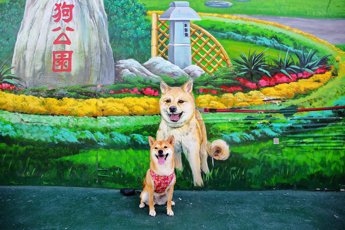 【遊。彰化】忠權彩繪社區〜毛小孩專屬！全台第一個狗狗主題3D立體彩繪村，超萌又好拍