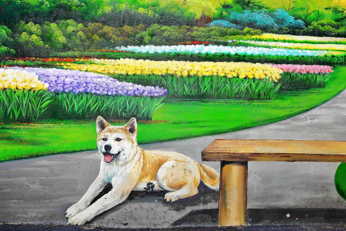 【遊。彰化】忠權彩繪社區〜毛小孩專屬！全台第一個狗狗主題3D立體彩繪村，超萌又好拍