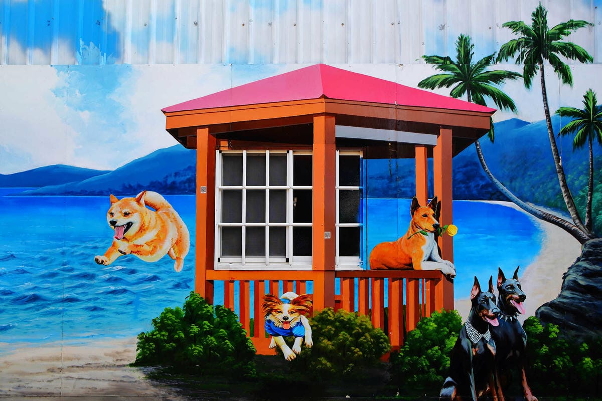 【遊。彰化】忠權彩繪社區〜毛小孩專屬！全台第一個狗狗主題3D立體彩繪村，超萌又好拍