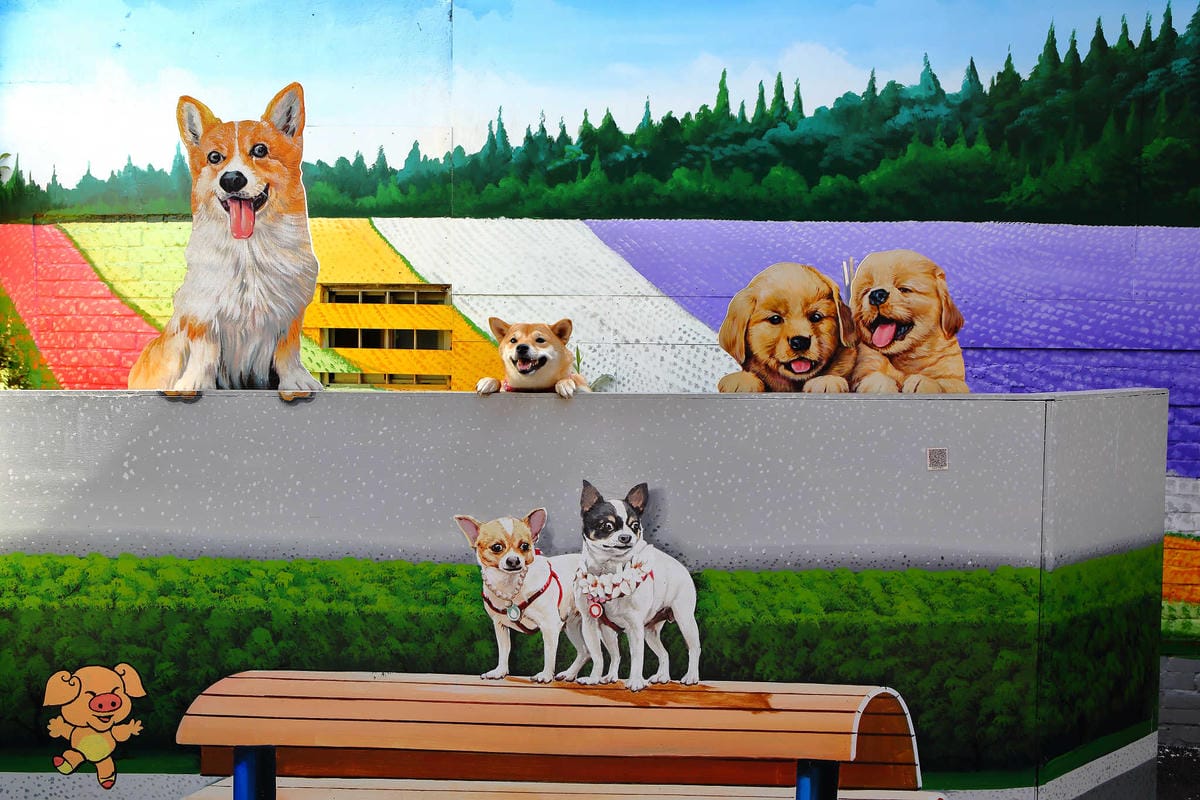 【遊。彰化】忠權彩繪社區〜毛小孩專屬！全台第一個狗狗主題3D立體彩繪村，超萌又好拍