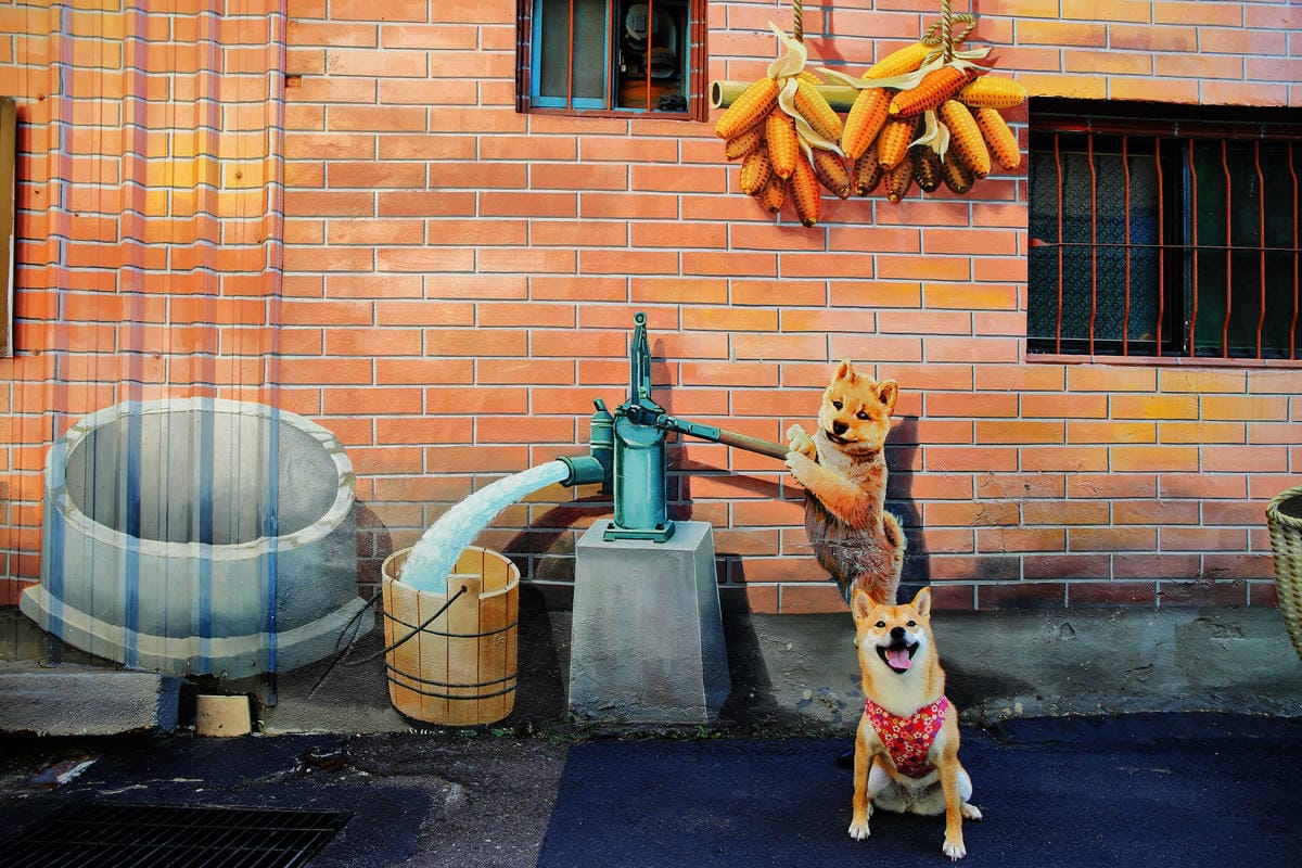 【遊。彰化】忠權彩繪社區〜毛小孩專屬！全台第一個狗狗主題3D立體彩繪村，超萌又好拍