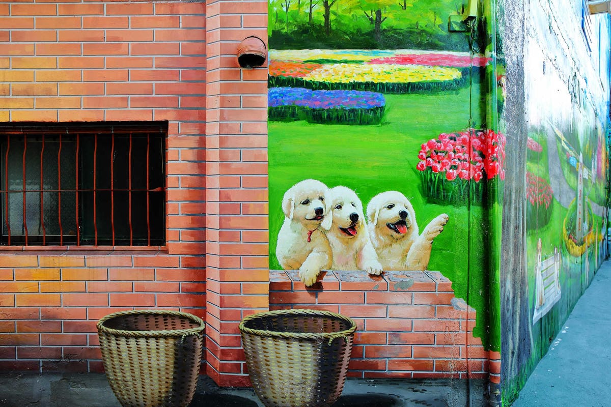 【遊。彰化】忠權彩繪社區〜毛小孩專屬！全台第一個狗狗主題3D立體彩繪村，超萌又好拍
