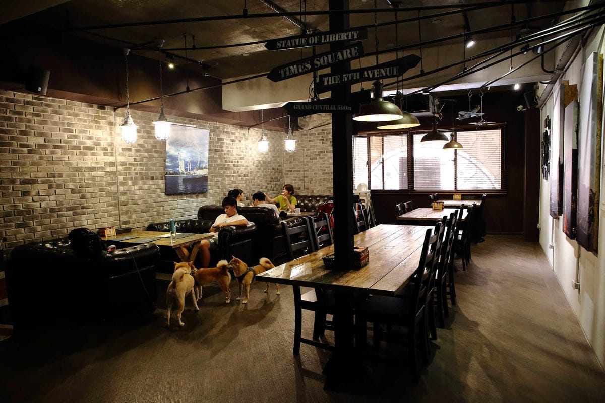 【食。桃園】Mumu小倫敦〜隱身住宅區的英倫風早午餐，餐點好吃，帶毛小孩來這文青一下！(已歇業)