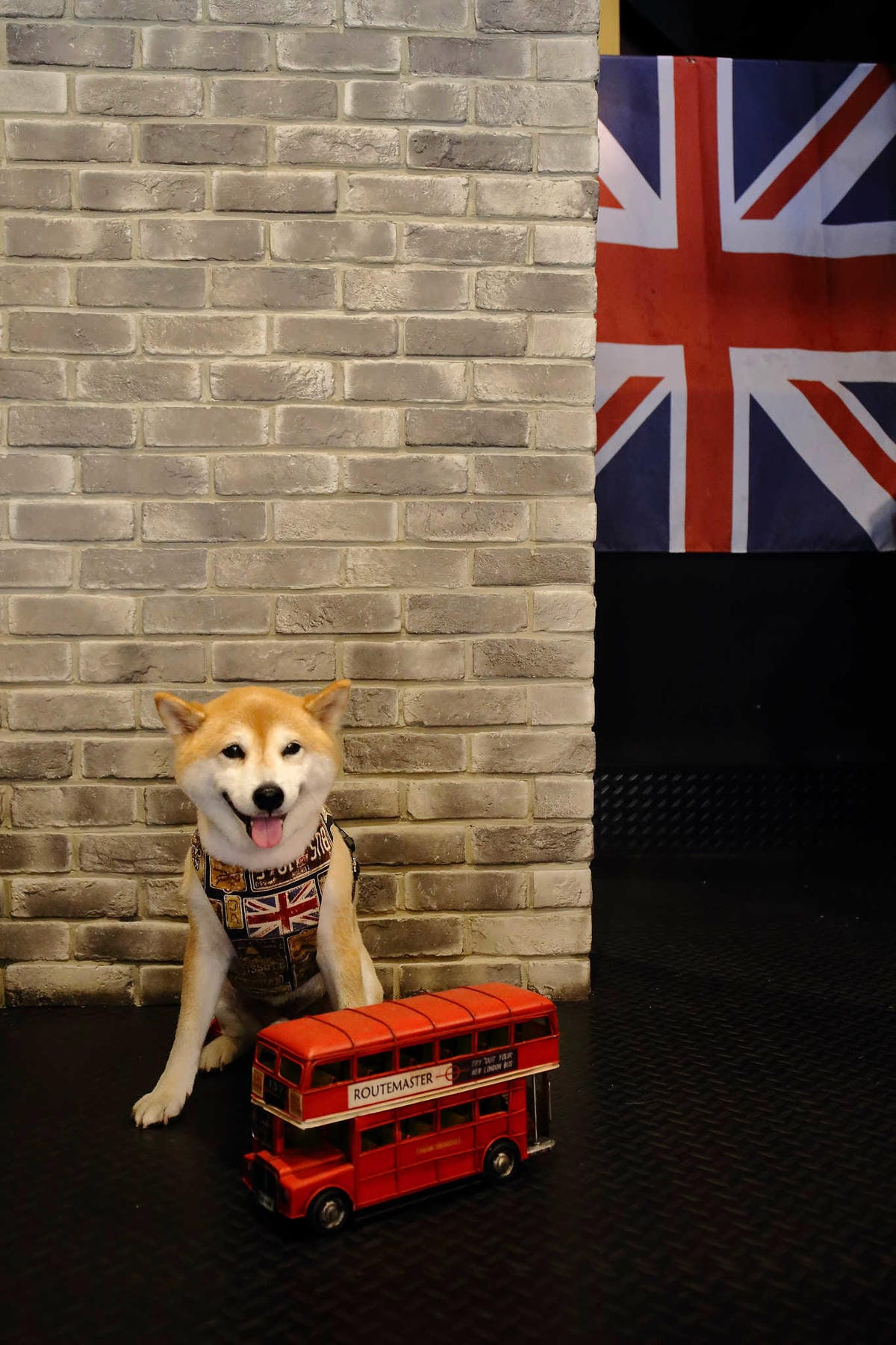 【食。桃園】Mumu小倫敦〜隱身住宅區的英倫風早午餐，餐點好吃，帶毛小孩來這文青一下！(已歇業)