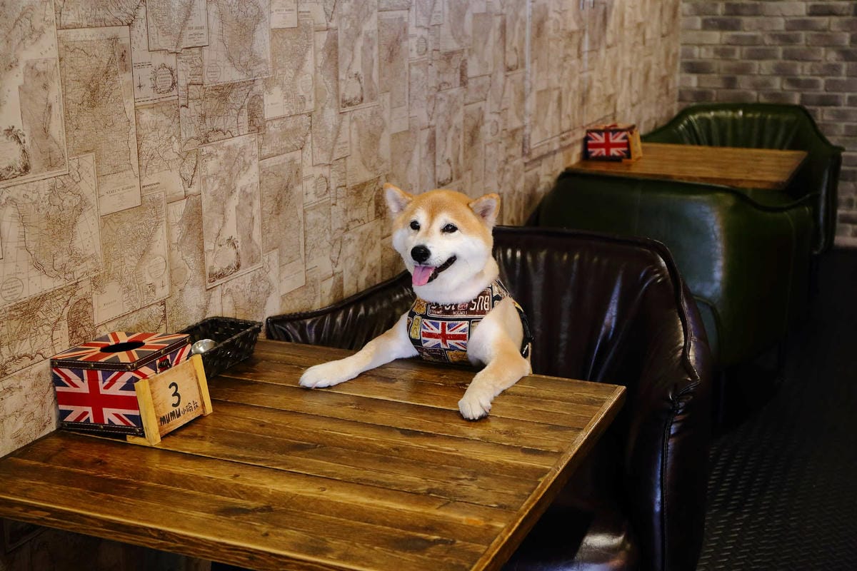 【食。桃園】Mumu小倫敦〜隱身住宅區的英倫風早午餐，餐點好吃，帶毛小孩來這文青一下！(已歇業)