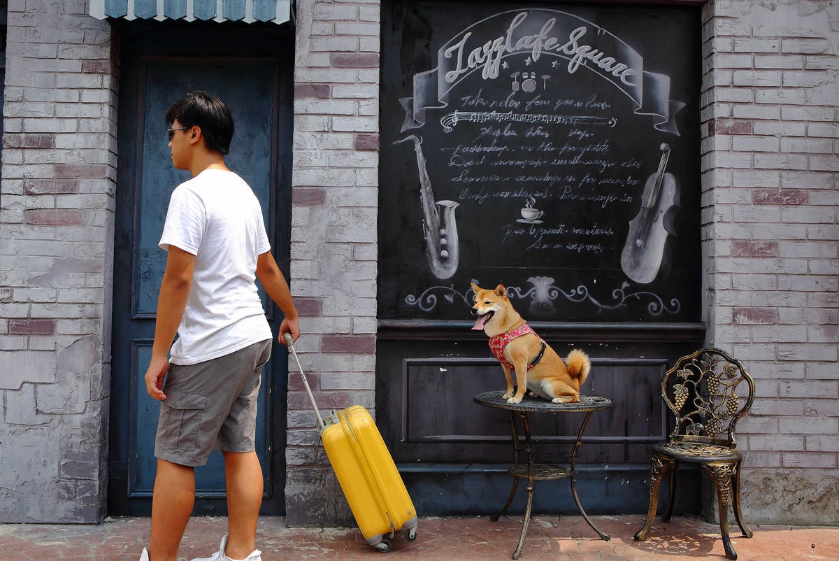 【遊。彰化】琉璃仙境〜彰化一日遊行程推薦。婚紗外拍景點、婚禮攝影夢幻莊園,專為拍美美照設計