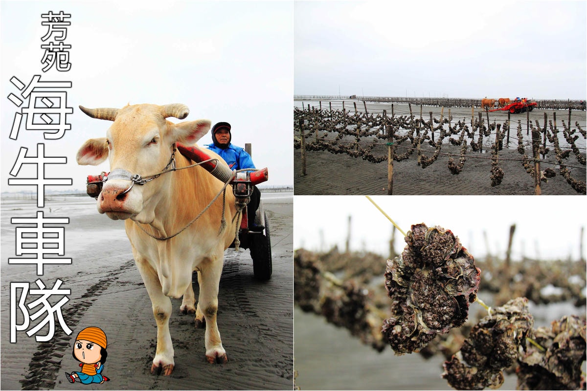 【遊。彰化】琉璃仙境〜彰化一日遊行程推薦。婚紗外拍景點、婚禮攝影夢幻莊園,專為拍美美照設計