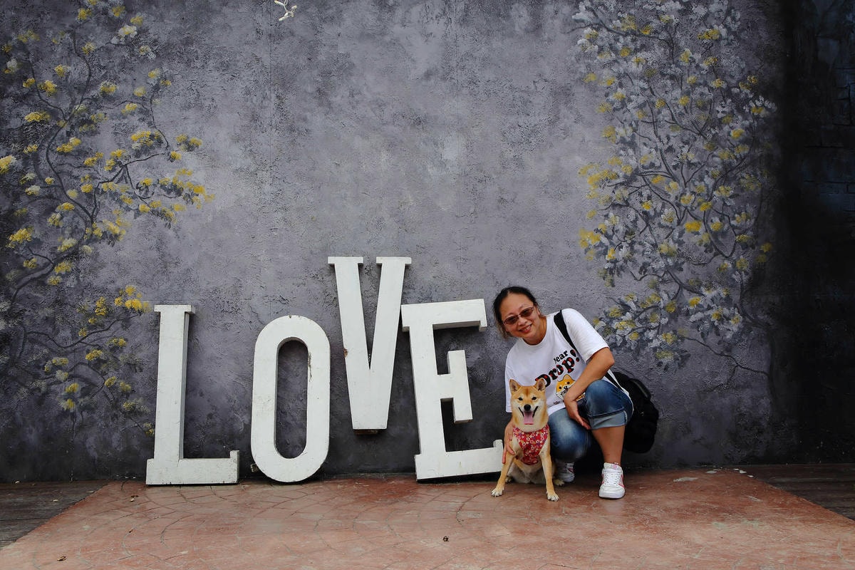 【遊。彰化】琉璃仙境〜彰化一日遊行程推薦。婚紗外拍景點、婚禮攝影夢幻莊園,專為拍美美照設計