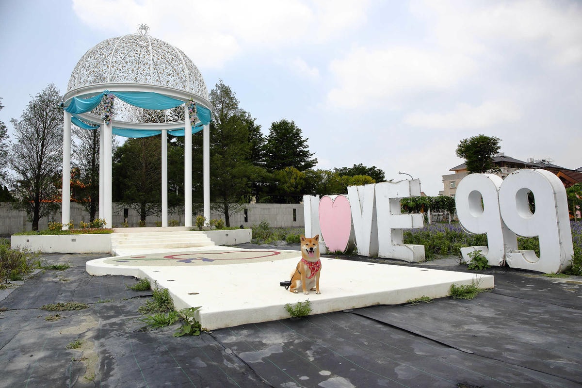 【遊。彰化】琉璃仙境〜彰化一日遊行程推薦。婚紗外拍景點、婚禮攝影夢幻莊園,專為拍美美照設計