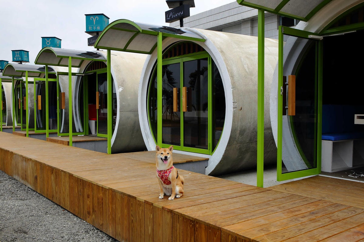 【遊。彰化】琉璃仙境〜彰化一日遊行程推薦。婚紗外拍景點、婚禮攝影夢幻莊園,專為拍美美照設計