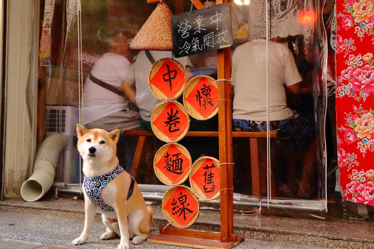 【食。泰山】懷舊中卷麵線〜超浮誇麵線！塞滿大腸+海鮮配料，中卷蛋每日限量晚來吃不到！