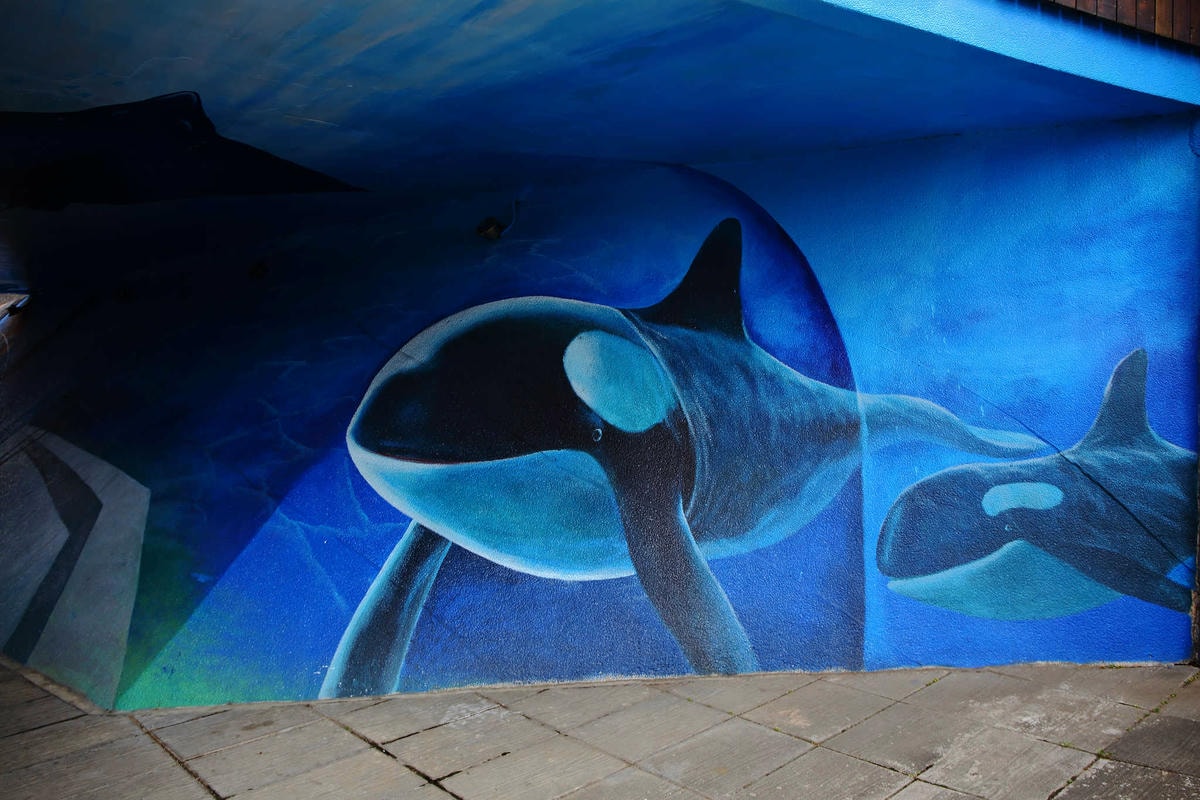 【遊。新莊】中港大排彩繪河廊親水公園〜台版清溪川!藝術彩繪打造浪漫水岸公園,散步看夕陽的好地方