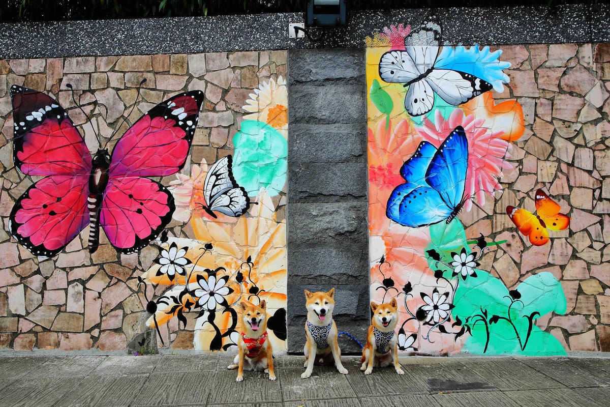 【遊。新莊】中港大排彩繪河廊親水公園〜台版清溪川!藝術彩繪打造浪漫水岸公園,散步看夕陽的好地方