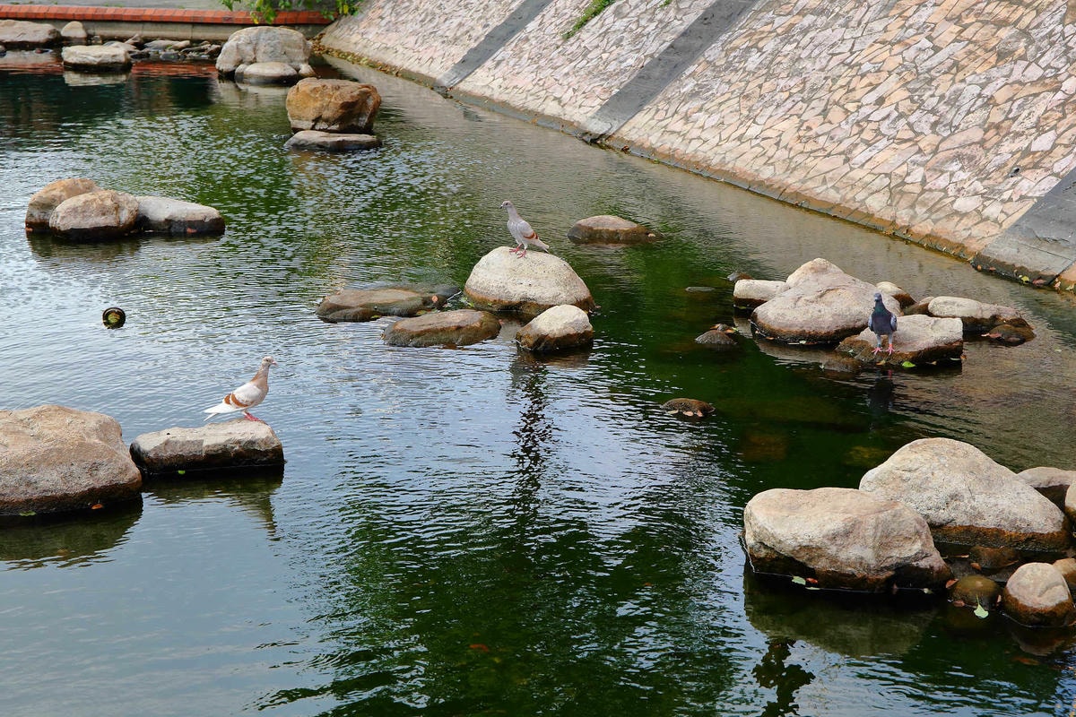 【遊。新莊】中港大排彩繪河廊親水公園〜台版清溪川!藝術彩繪打造浪漫水岸公園,散步看夕陽的好地方