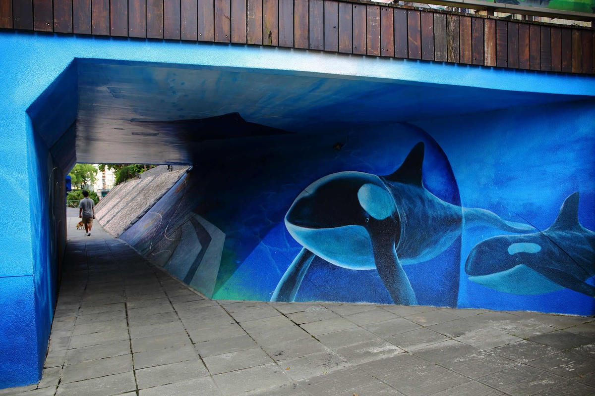 【遊。新莊】中港大排彩繪河廊親水公園〜台版清溪川!藝術彩繪打造浪漫水岸公園,散步看夕陽的好地方