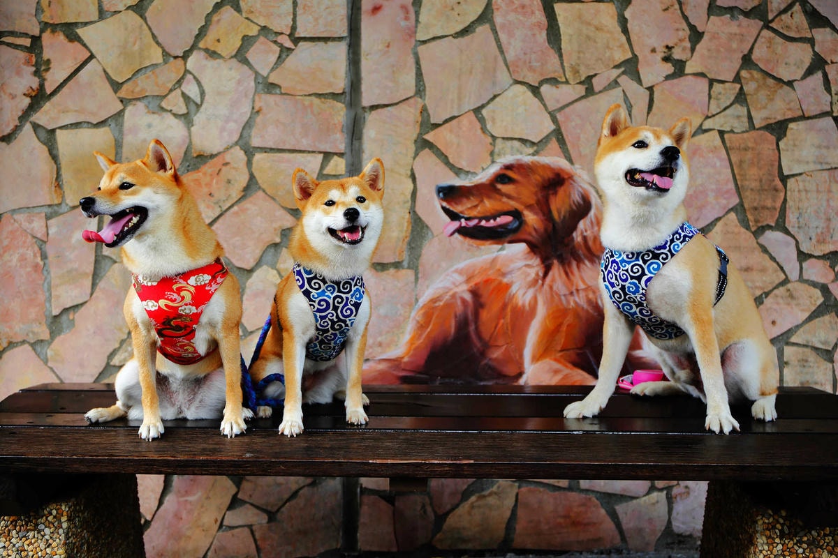 【遊。新莊】中港大排彩繪河廊親水公園〜台版清溪川!藝術彩繪打造浪漫水岸公園,散步看夕陽的好地方