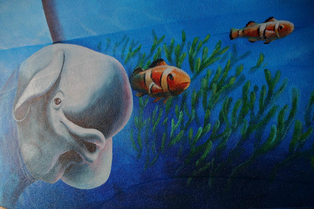 【遊。新莊】中港大排彩繪河廊親水公園〜台版清溪川!藝術彩繪打造浪漫水岸公園,散步看夕陽的好地方