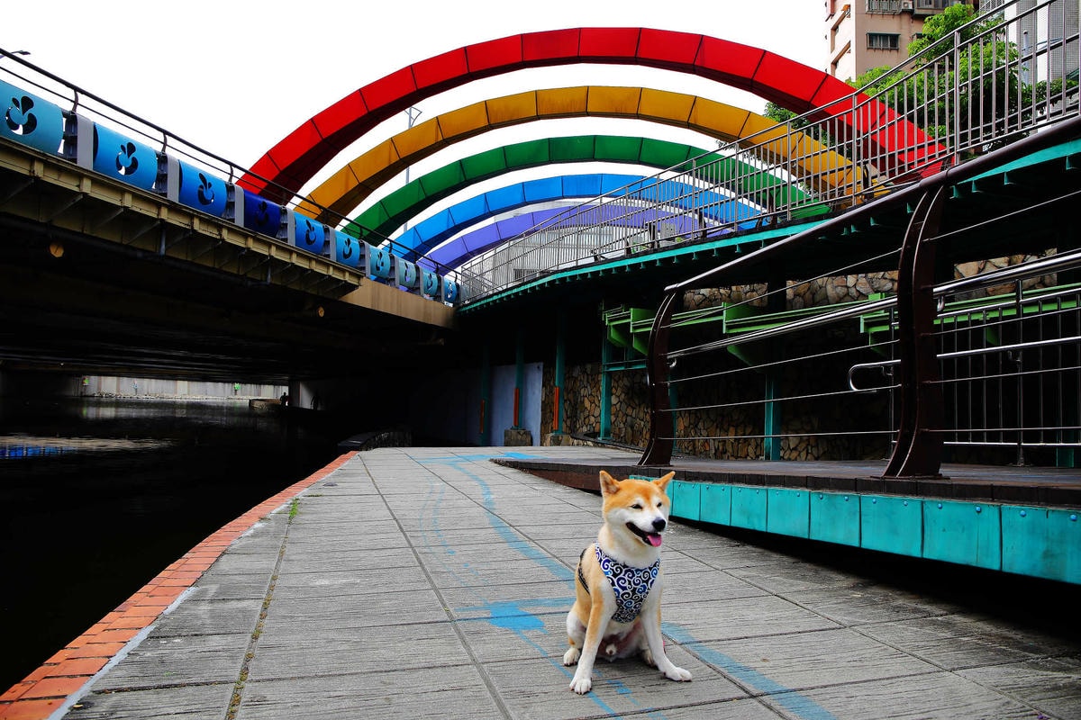 【遊。新莊】中港大排彩繪河廊親水公園〜台版清溪川!藝術彩繪打造浪漫水岸公園,散步看夕陽的好地方