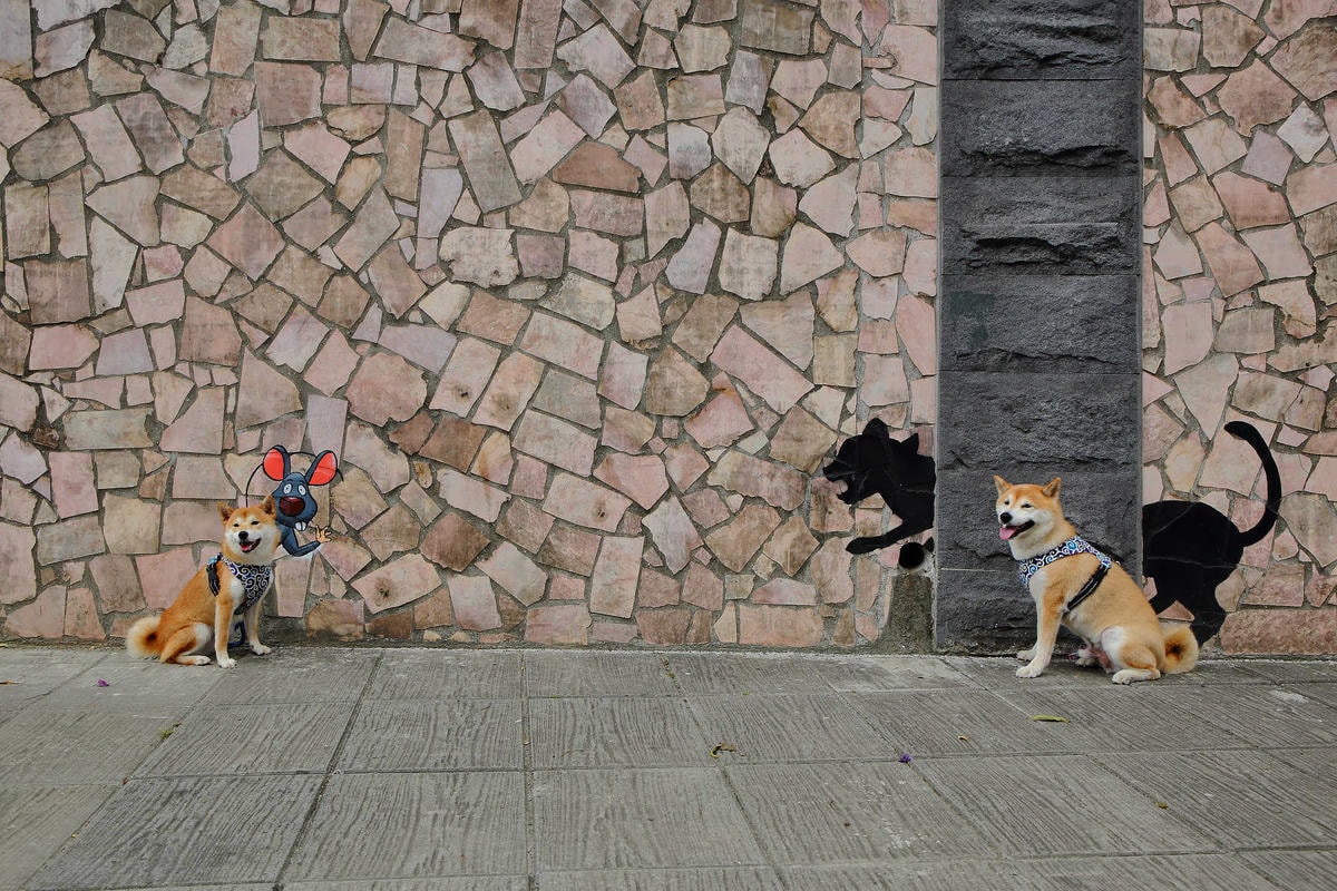 【遊。新莊】中港大排彩繪河廊親水公園〜台版清溪川!藝術彩繪打造浪漫水岸公園,散步看夕陽的好地方