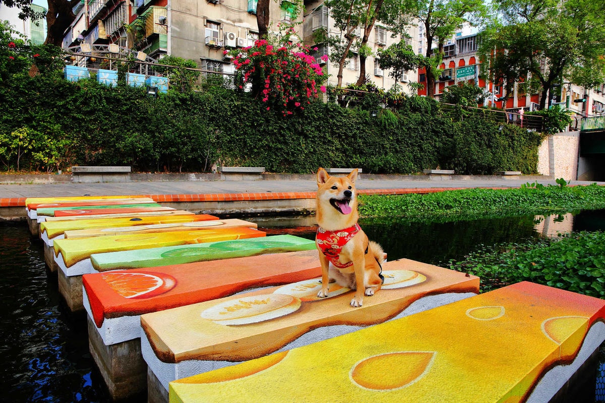 【遊。新莊】中港大排彩繪河廊親水公園〜台版清溪川!藝術彩繪打造浪漫水岸公園,散步看夕陽的好地方