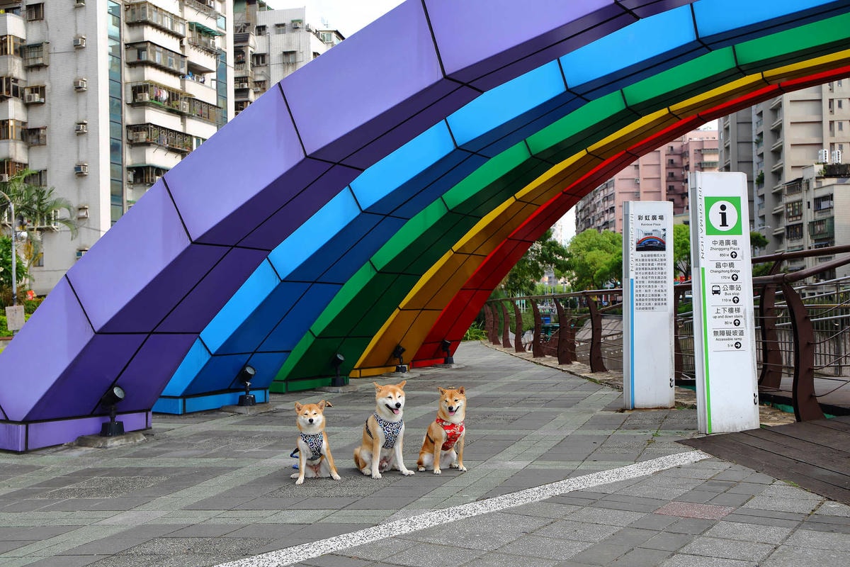 【遊。新莊】中港大排彩繪河廊親水公園〜台版清溪川!藝術彩繪打造浪漫水岸公園,散步看夕陽的好地方