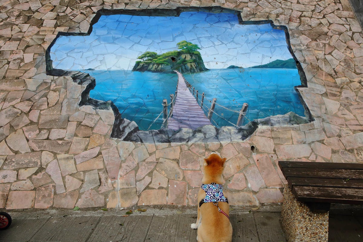 【遊。新莊】中港大排彩繪河廊親水公園〜台版清溪川!藝術彩繪打造浪漫水岸公園,散步看夕陽的好地方