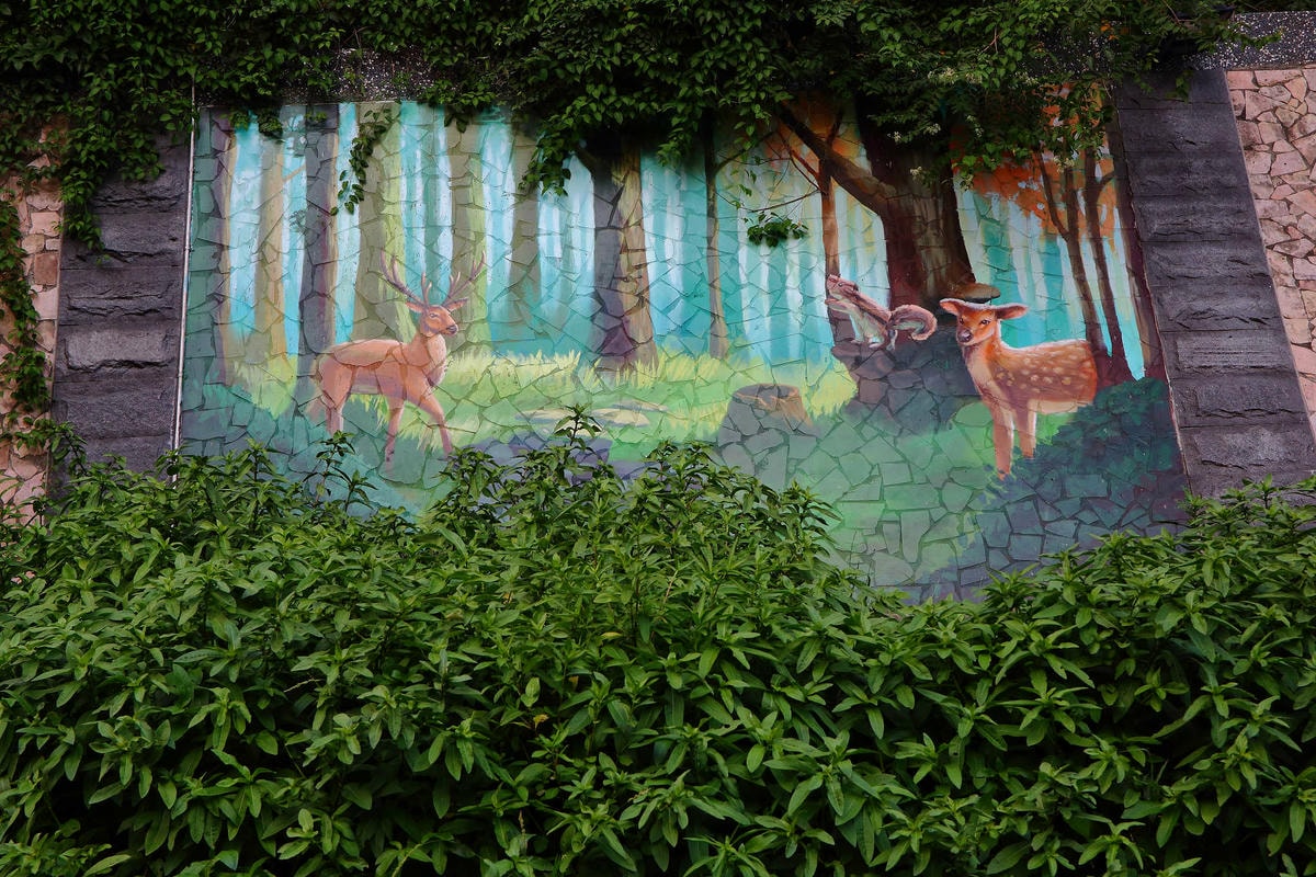 【遊。新莊】中港大排彩繪河廊親水公園〜台版清溪川!藝術彩繪打造浪漫水岸公園,散步看夕陽的好地方