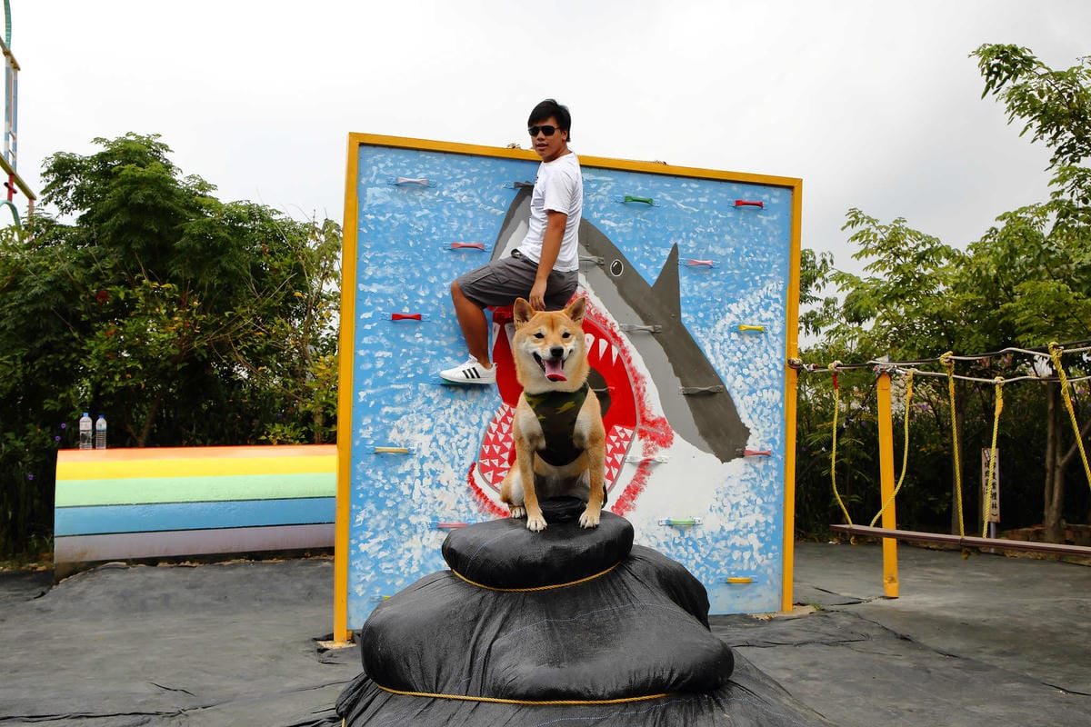 【遊。中壢】台灣地景花園〜8/6重新開放，無料參觀、免費玩水！溪流上盪鞦韆、親子遊樂設施，太適合小人玩到翻！