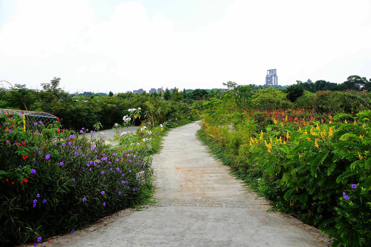 【遊。中壢】台灣地景花園〜8/6重新開放，無料參觀、免費玩水！溪流上盪鞦韆、親子遊樂設施，太適合小人玩到翻！