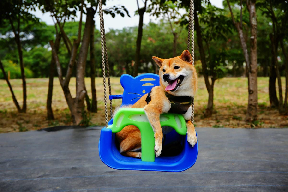 【遊。中壢】台灣地景花園〜8/6重新開放，無料參觀、免費玩水！溪流上盪鞦韆、親子遊樂設施，太適合小人玩到翻！